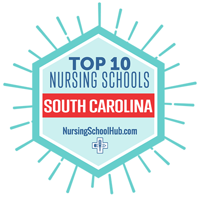 Top 10 Nursing Schools in South Carolina Award logo