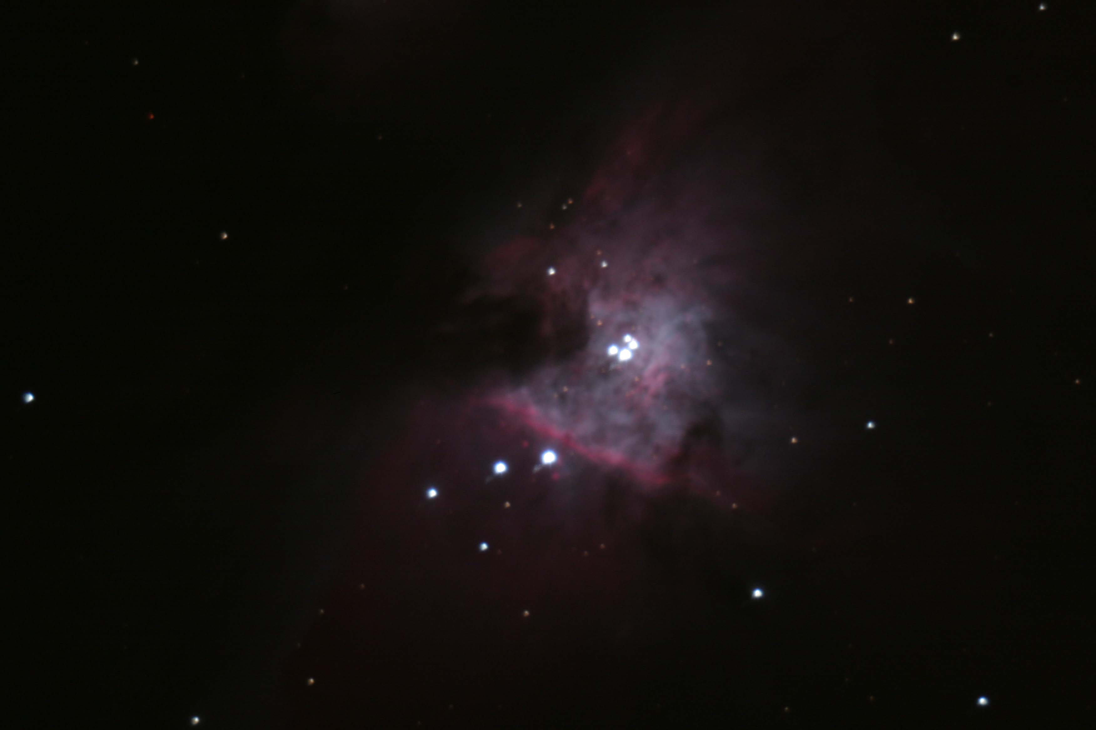 Orion Nebula 2/1/2008