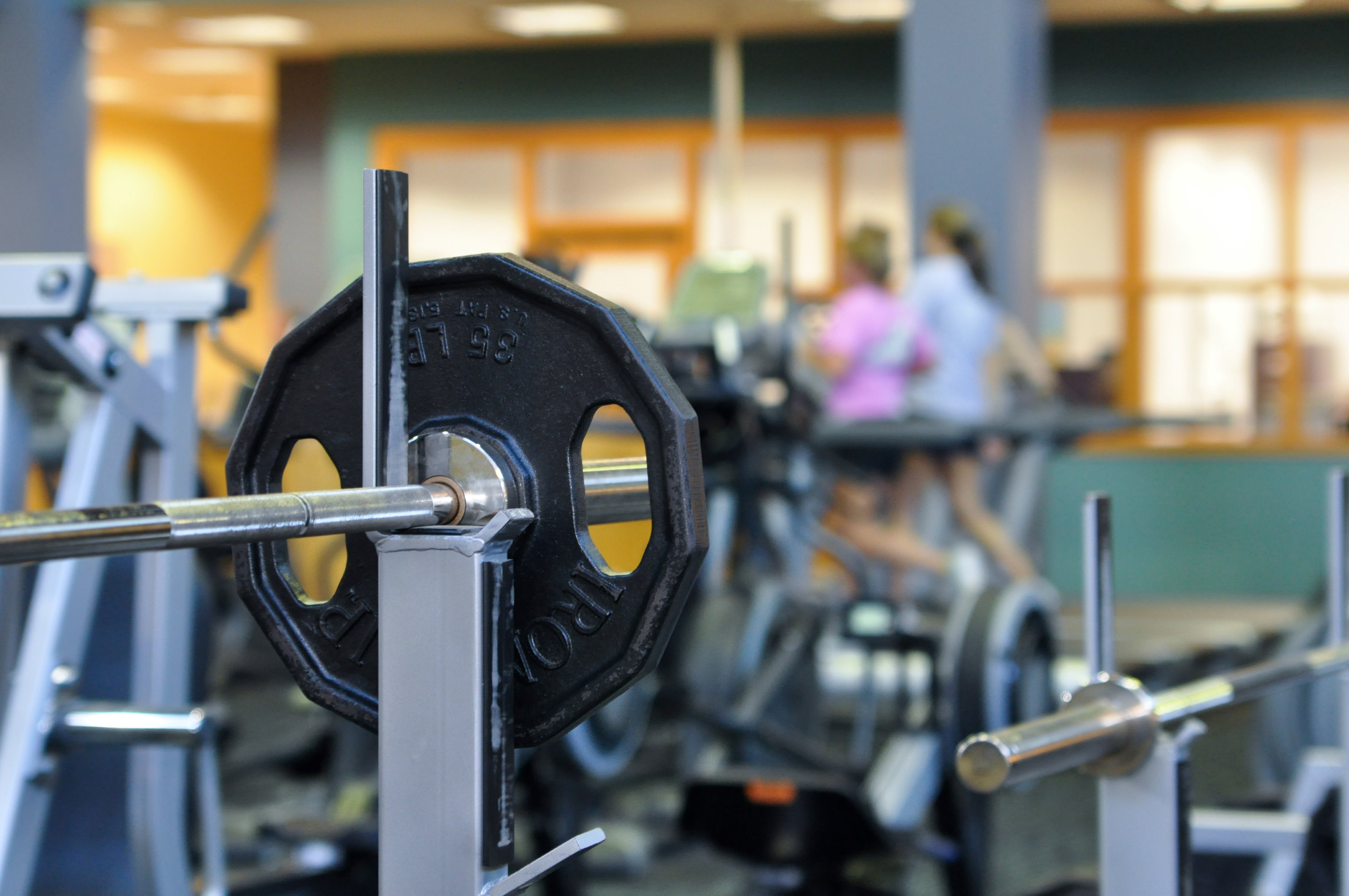 Recreation and Wellness Banner Image