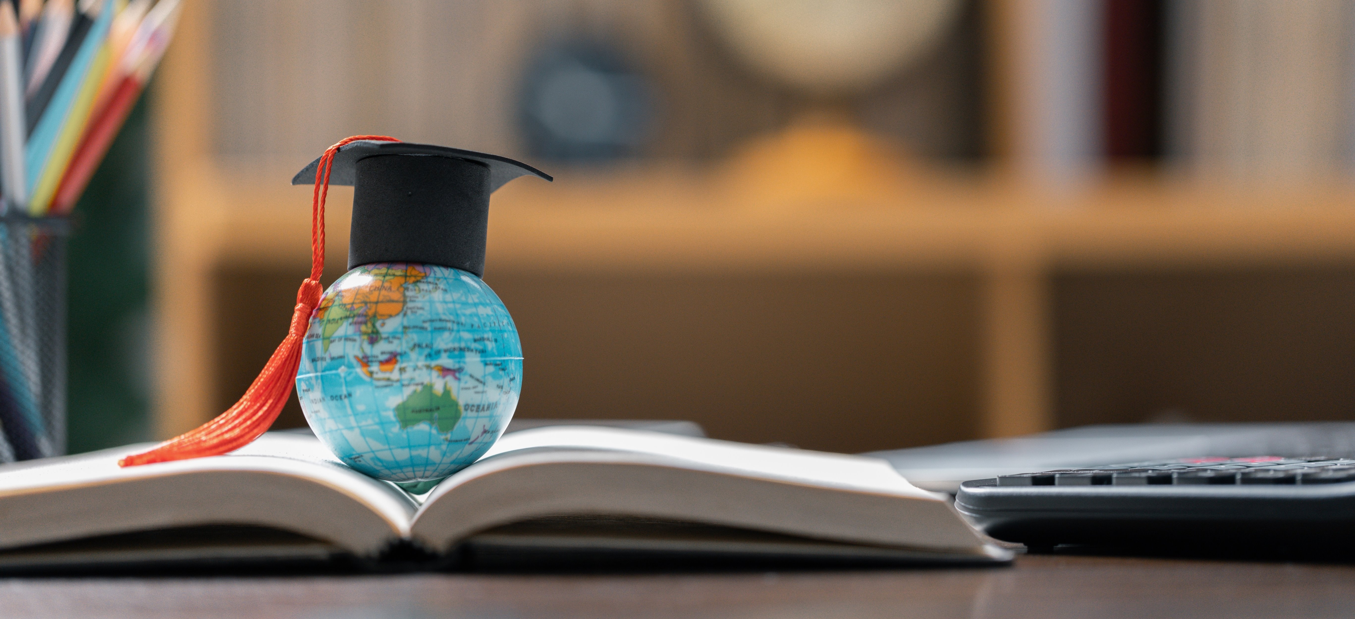International Programs Banner Image