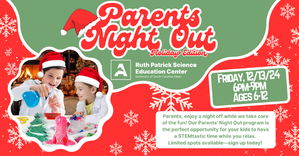 Parents Night Out Holiday Edition Flyer